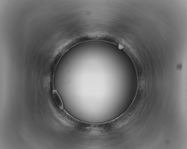 X0000090770448200707201117