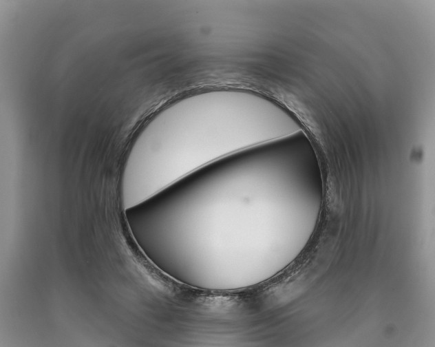 X0000090770449200707201117