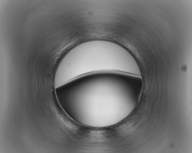X0000090770450200707201117