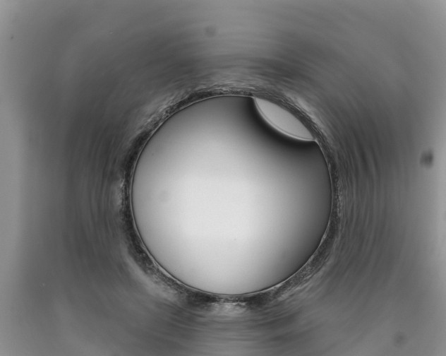 X0000090770451200707201117