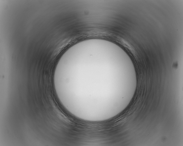 X0000090770452200707201117
