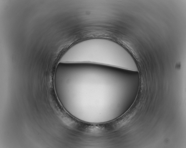 X0000090770453200707201118