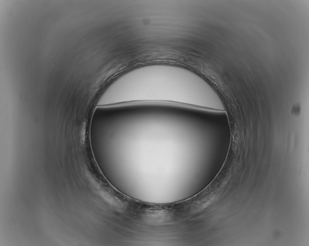 X0000090770454200707201118