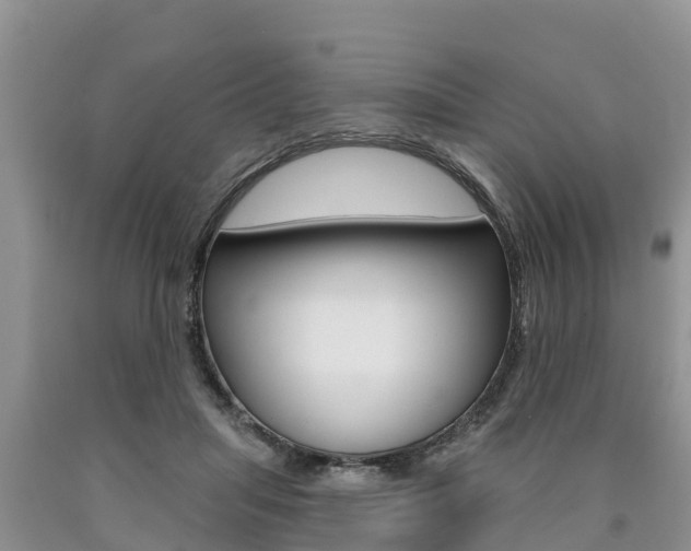 X0000090770455200707201118