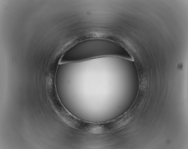 X0000090770456200707201118