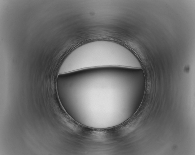 X0000090770457200707201118