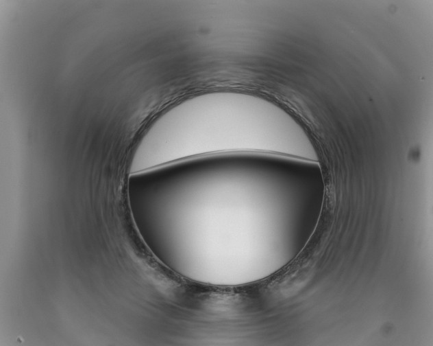 X0000090770458200707201118