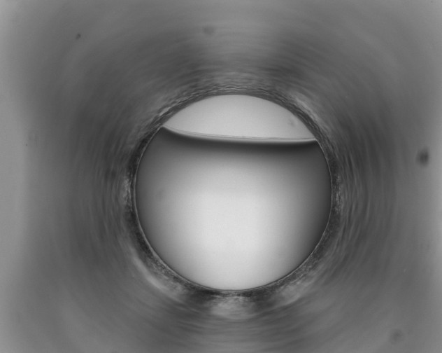 X0000090770459200707201118