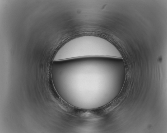 X0000090770460200707201118