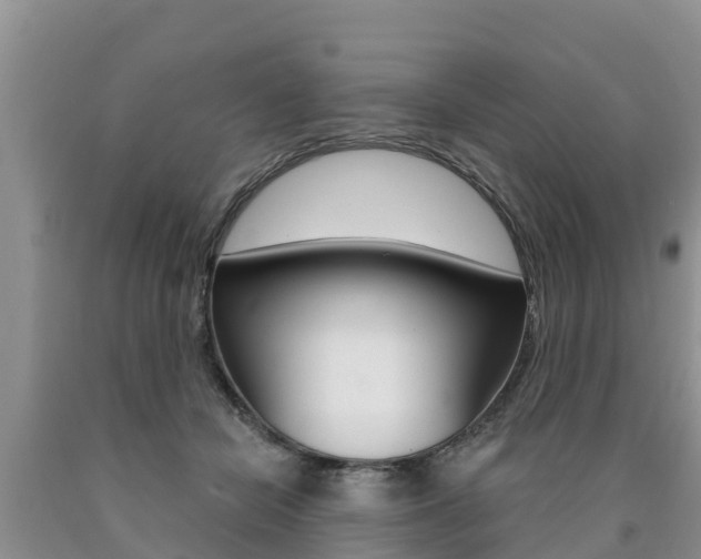 X0000090770462200707201118