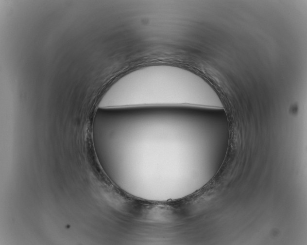 X0000090770463200707201118