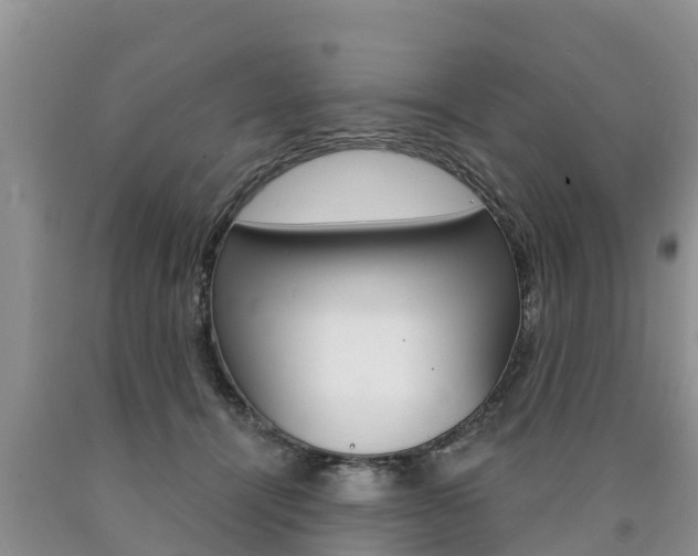 X0000090770464200707201118