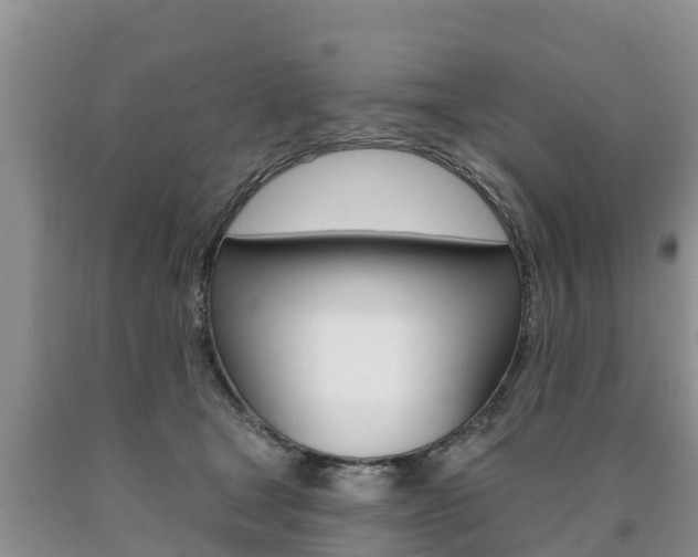 X0000090770465200707201118