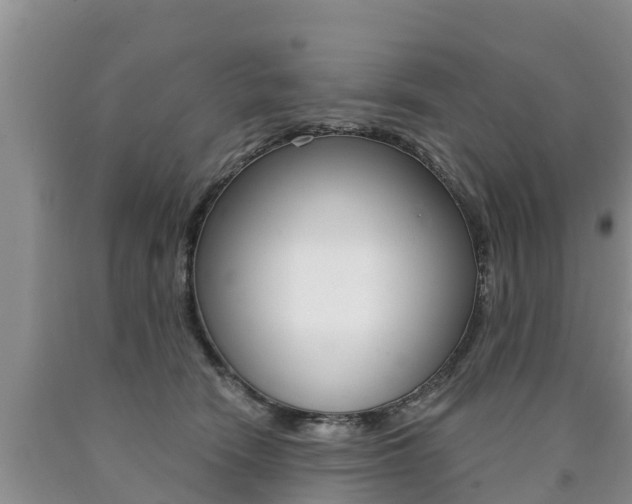 X0000090770466200707201118