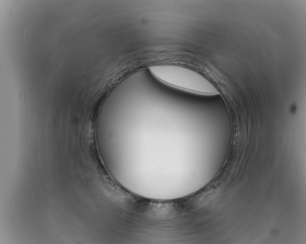 X0000090770469200707201118