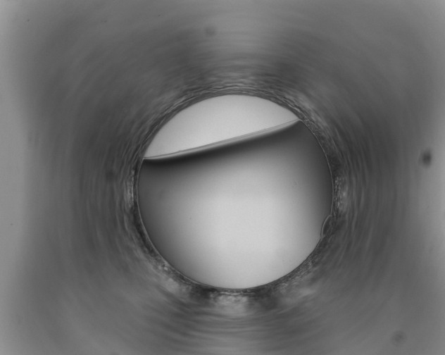 X0000090770471200707201118