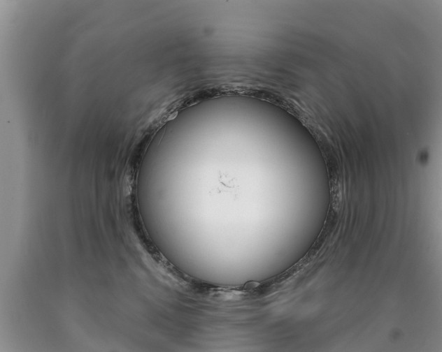 X0000090770472200707201118