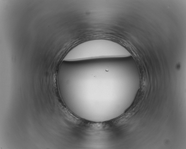 X0000090770473200707201118