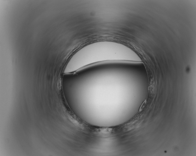 X0000090770474200707201118