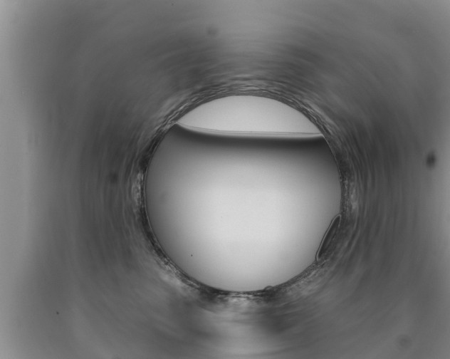 X0000090770475200707201118