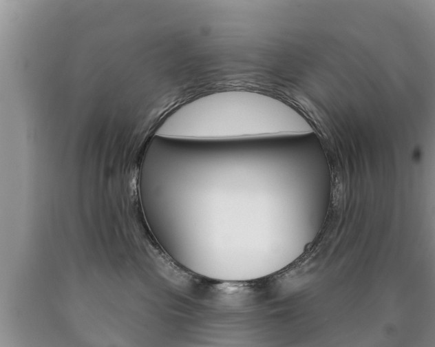 X0000090770477200707201118