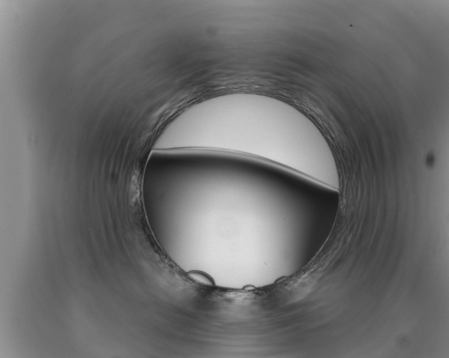 X0000090770478200707201118