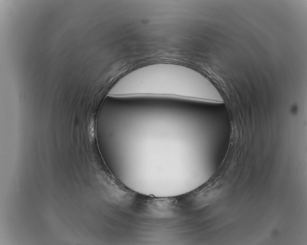 X0000090770479200707201118