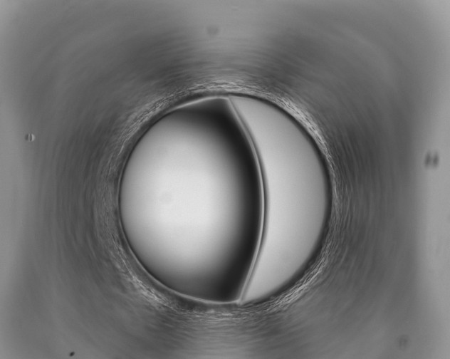 X0000090770481200707201117