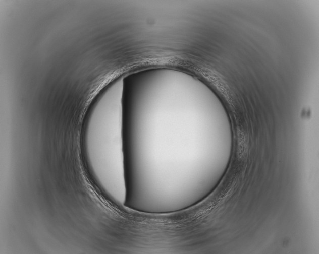 X0000090770482200707201117