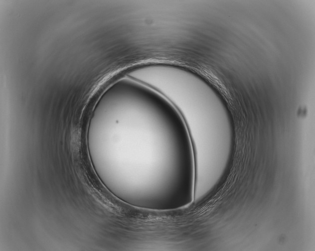 X0000090770484200707201117