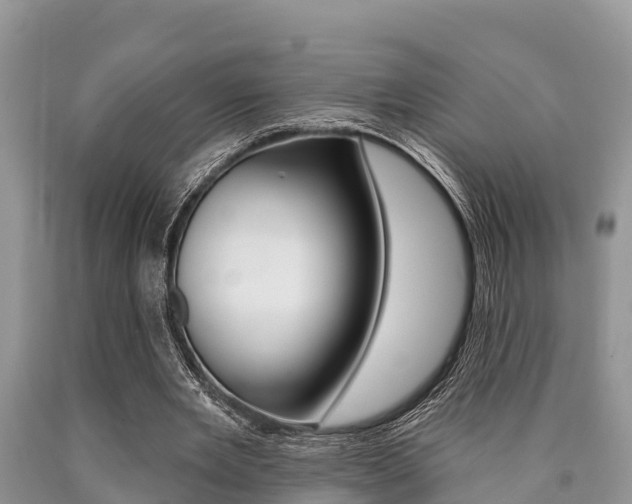 X0000090770485200707201117