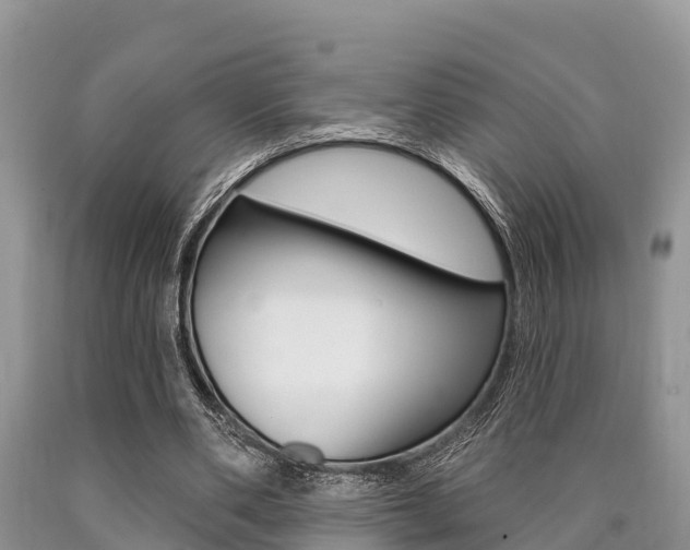 X0000090770486200707201117