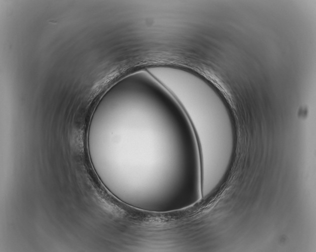 X0000090770489200707201117