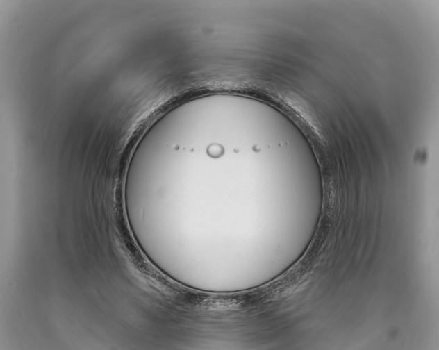 X0000090770491200707201117