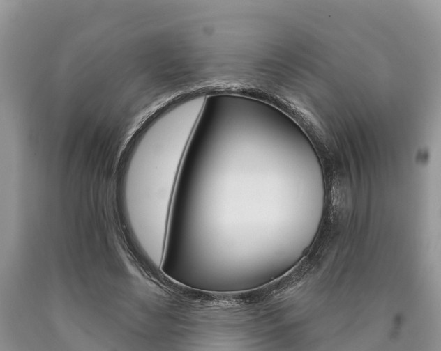 X0000090770492200707201117