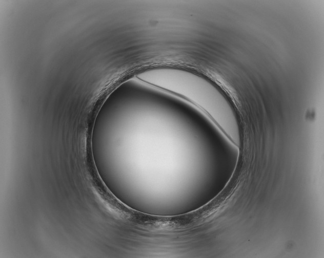 X0000090770493200707201117