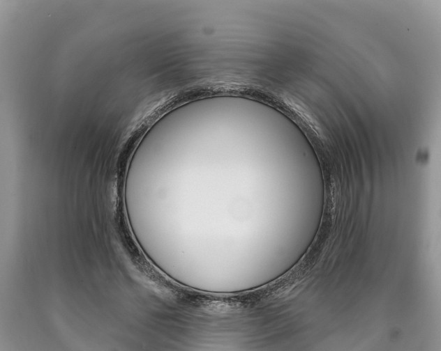 X0000090770494200707201117