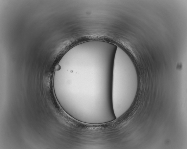 X0000090770495200707201117
