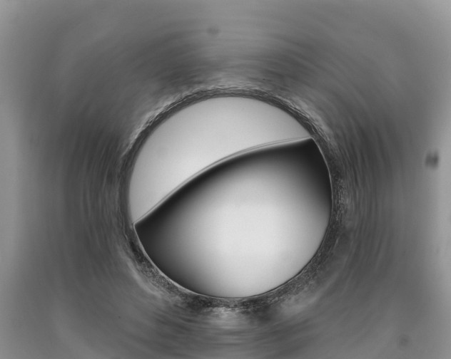 X0000090770496200707201117