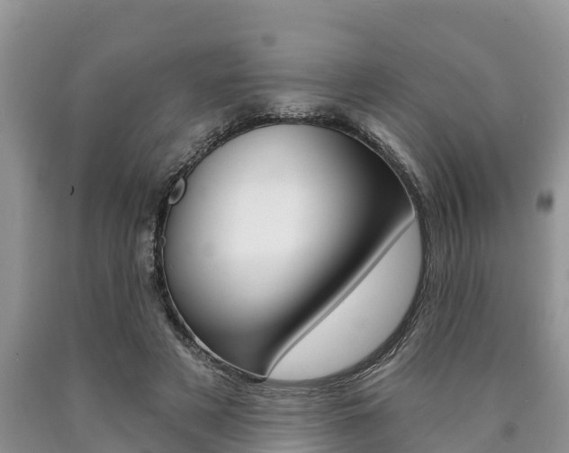 X0000090770497200707201117