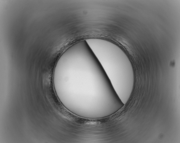 X0000090770499200707201117