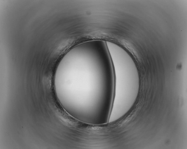 X0000090770501200707201117