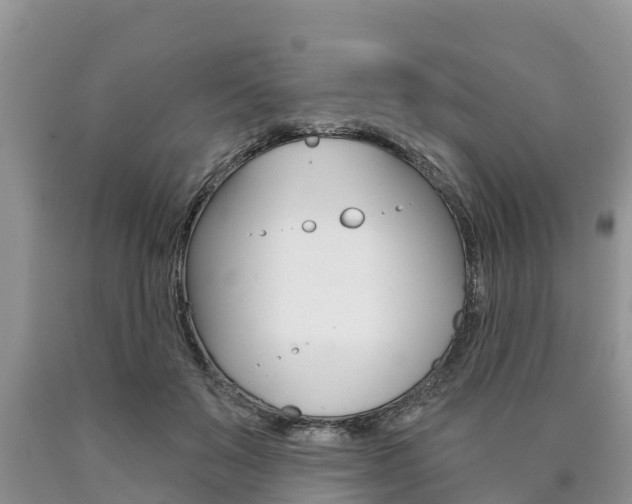 X0000090770503200707201117