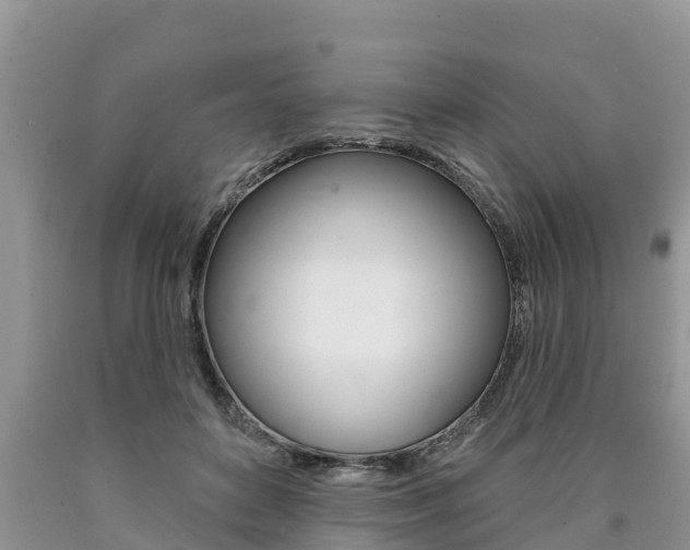 X0000090770504200707201117
