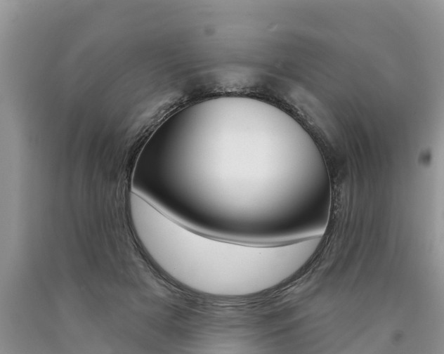 X0000090770505200707201117