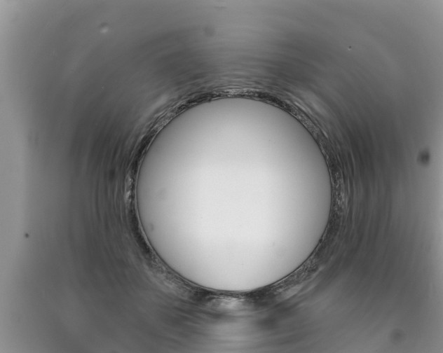 X0000090770507200707201117