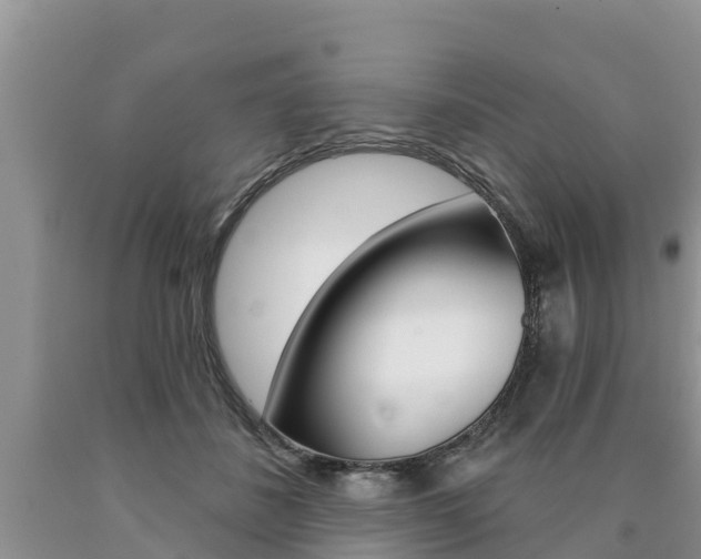X0000090770508200707201117