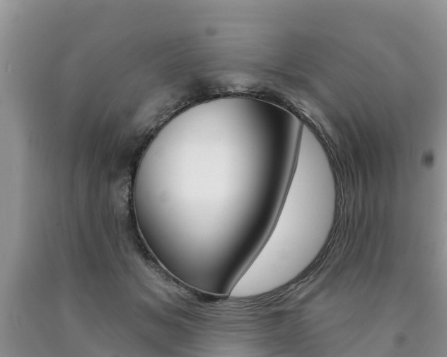 X0000090770509200707201117
