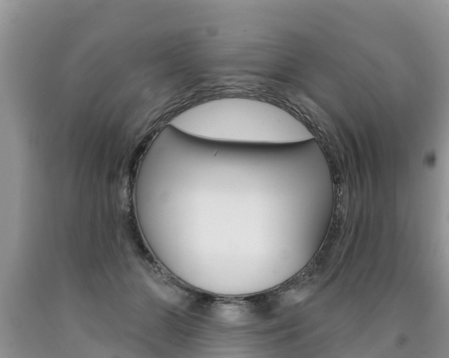 X0000090770510200707201117