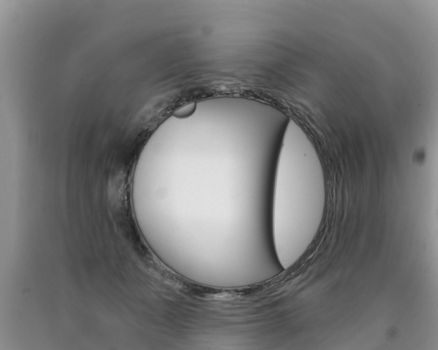 X0000090770511200707201117